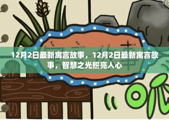 12月2日最新寓言故事，智慧之光照耀人心