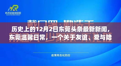 東莞頭條新聞，友誼與愛在冬日綻放——十二月二日的溫馨日常故事