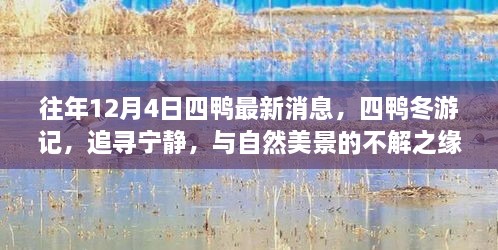 往年12月4日四鴨冬游記，追尋寧?kù)o與美景的不解之緣