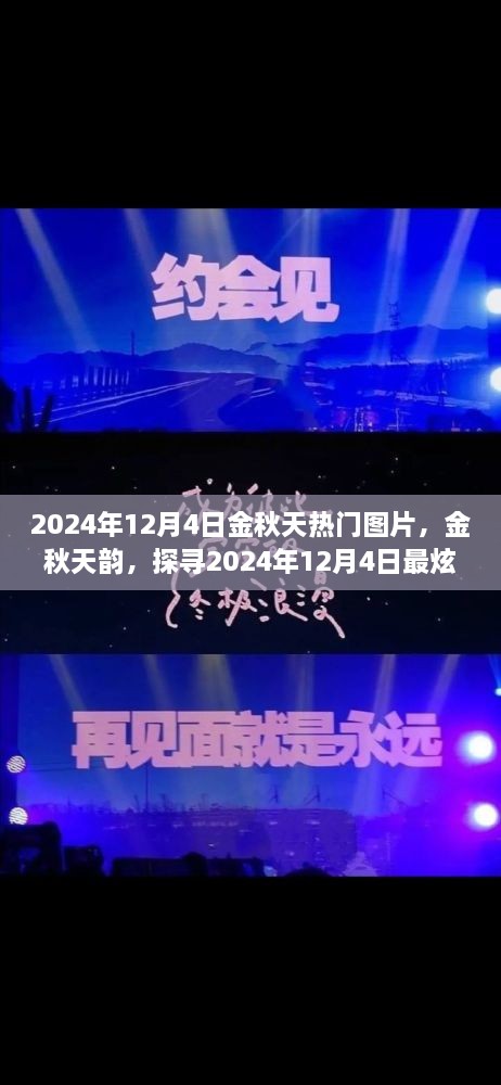 探尋金秋韻味，2024年12月4日熱門(mén)圖片精選