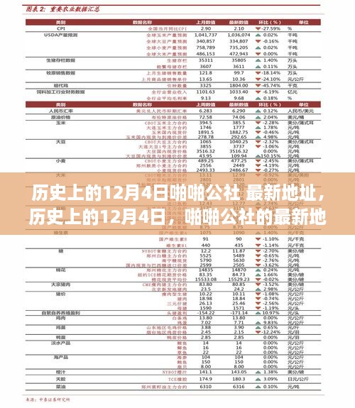 歷史上的12月4日，啪啪公社的最新地址及其背后的故事揭秘（科普文章）