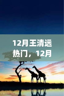 追尋自然之旅，王清遠(yuǎn)在十二月的腳步與心靈之旅