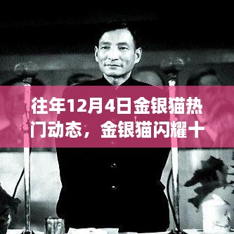 歷年金銀貓閃耀十二月，深度回顧歷年12月4日的熱門動(dòng)態(tài)