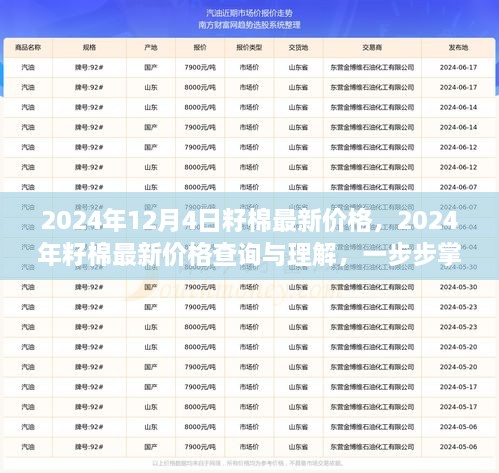 2024年12月4日籽棉最新價(jià)格，2024年籽棉最新價(jià)格查詢(xún)與理解，一步步掌握行情分析技能