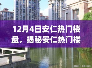 揭秘安仁熱門樓盤，置業(yè)焦點在行動，12月4日置業(yè)指南