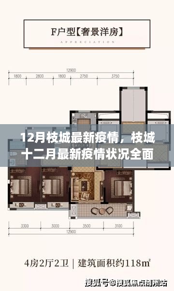 枝城最新疫情狀況全面評測分析（十二月版）