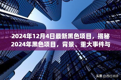 揭秘，2024年黑色項目的背景、重大事件與深遠影響全解析