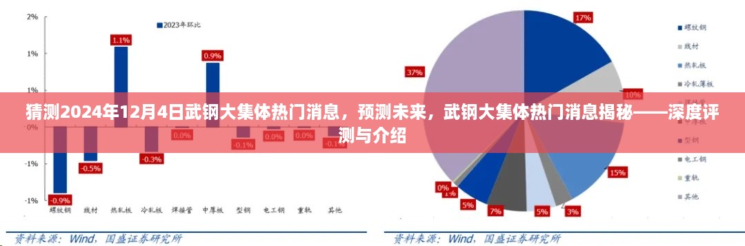 揭秘武鋼大集體未來熱門消息，深度評測與預(yù)測報告（2024年12月4日版）