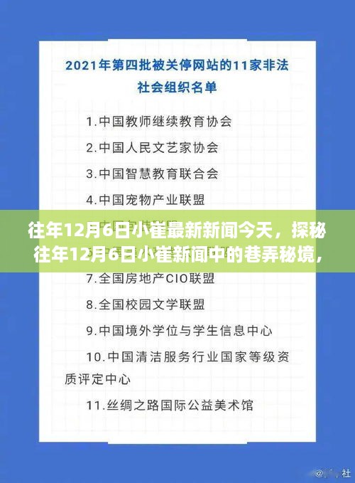 探秘往年12月6日小崔新聞中的巷弄秘境，小巷深處的特色小店揭秘