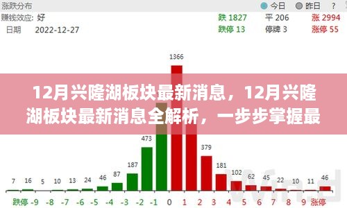 掌握興隆湖板塊最新動(dòng)態(tài)，全面解析十二月最新消息