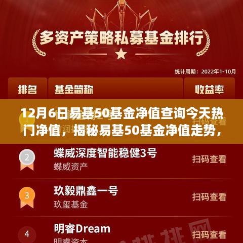 揭秘易基50基金凈值走勢，深度解讀今日熱門凈值背后的故事（最新凈值查詢）