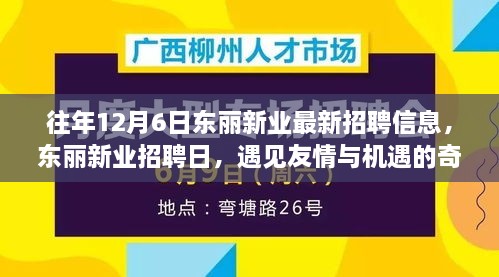 東麗新業(yè)招聘日，遇見友情與機(jī)遇的奇妙一天，最新招聘信息一網(wǎng)打盡！