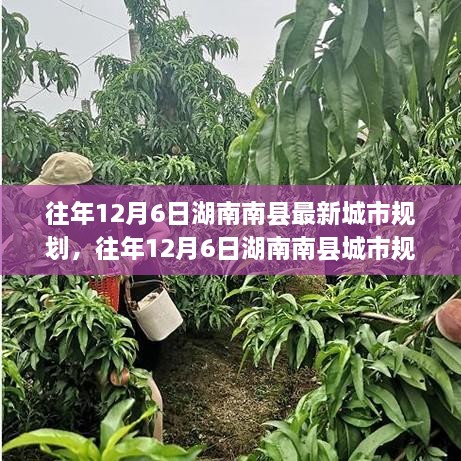 湖南南縣往年城市規(guī)劃揭秘，洞悉最新藍圖與發(fā)展趨勢