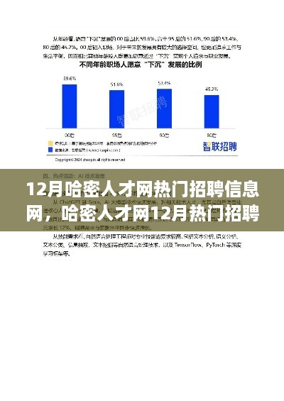 哈密人才網(wǎng)12月熱門招聘信息解讀，市場新動(dòng)向與求職策略深度探討