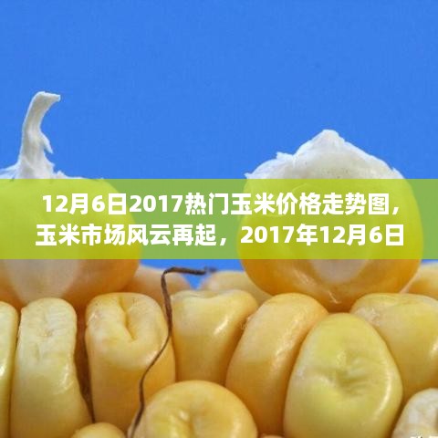 深度解析，玉米市場風云再起，最新玉米價格走勢圖（2017年12月6日）