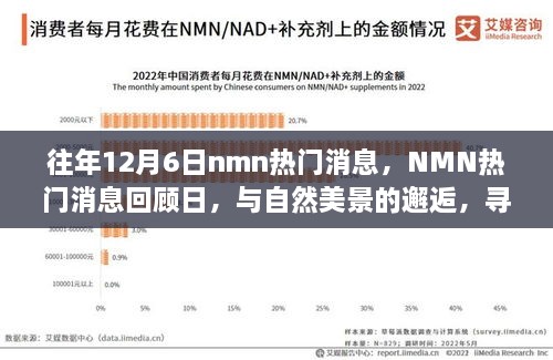 往年NMN熱門(mén)消息回顧日，與自然美景的邂逅，心靈寧?kù)o之旅啟程