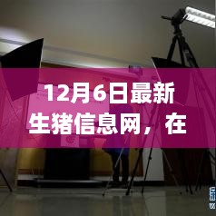 云端豬事，最新生豬信息小記（12月6日）