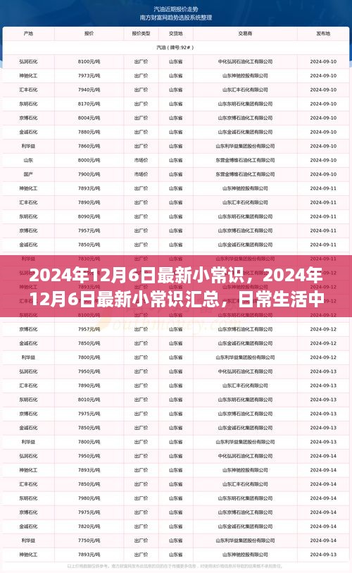 2024年12月6日最新小常識一覽，日常生活中的新奇知識匯總