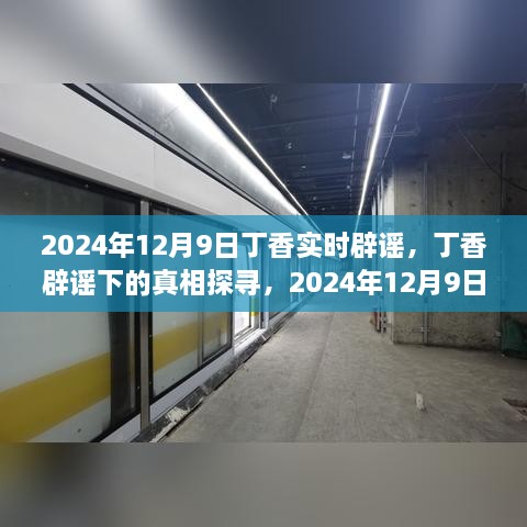 2024年視角下的丁香實(shí)時辟謠，探尋真相之旅