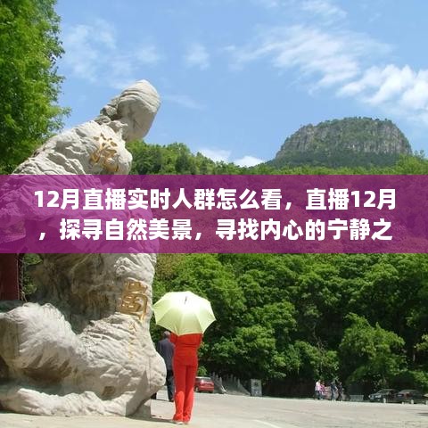 12月直播探尋自然美景，探尋內(nèi)心寧?kù)o之旅的實(shí)時(shí)觀眾洞察