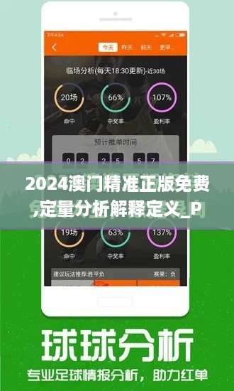 2024澳門精準(zhǔn)正版免費(fèi),定量分析解釋定義_Premium6.465