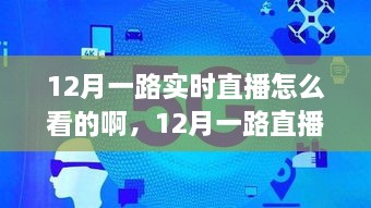 12月直播盛宴，如何實時觀看直播節(jié)目指南