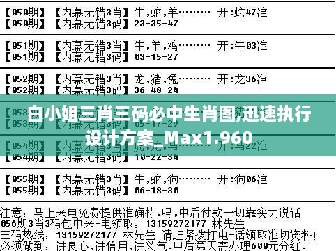 白小姐三肖三碼必中生肖圖,迅速執(zhí)行設(shè)計(jì)方案_Max1.960