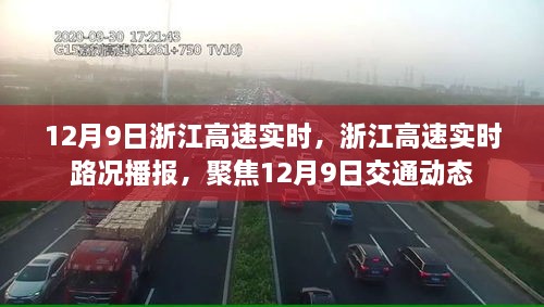 浙江高速實時路況播報，聚焦12月9日交通動態(tài)