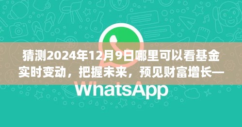 見證未來財(cái)富增長(zhǎng)，把握基金實(shí)時(shí)變動(dòng)之旅，2024年12月9日揭曉！