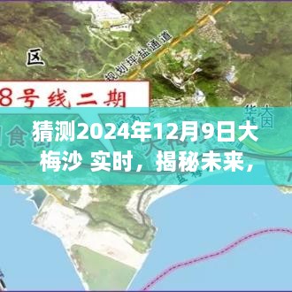 揭秘大梅沙海域未來生態(tài)與環(huán)境展望，2024年12月9日海洋生態(tài)實(shí)時(shí)揭秘