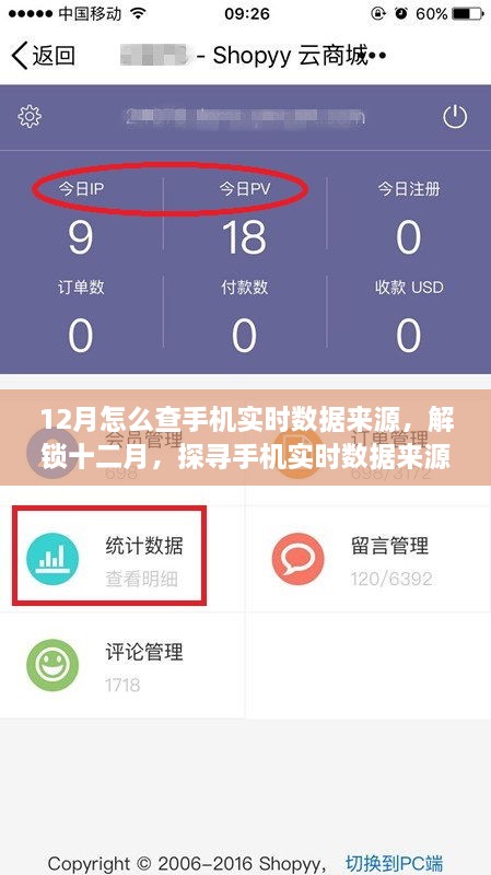 探尋手機實時數(shù)據(jù)來源的奧秘，十二月開啟自信與成就之旅的指南