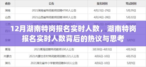 湖南特崗報名實時人數(shù)熱議與思考，背后的真相與啟示