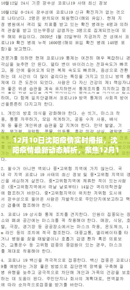 沈陽疫情最新動態(tài)解析，聚焦實時播報與個人觀點（12月10日更新）