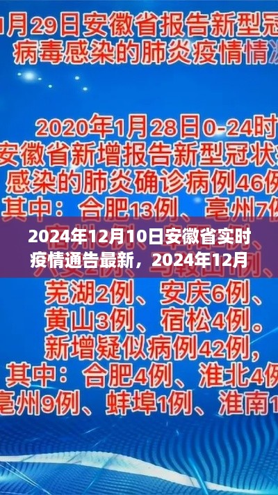 2024年12月11日 第8頁