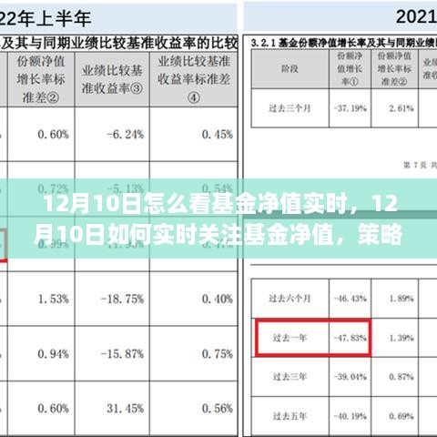 12月10日基金凈值實(shí)時(shí)關(guān)注策略與技巧，如何掌握基金動(dòng)態(tài)