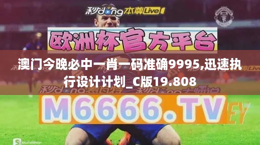 澳門今晚必中一肖一碼準確9995,迅速執(zhí)行設計計劃_C版19.808