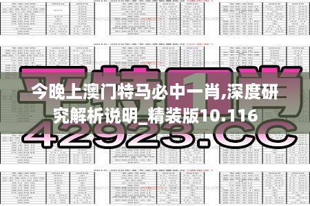 今晚上澳門特馬必中一肖,深度研究解析說明_精裝版10.116