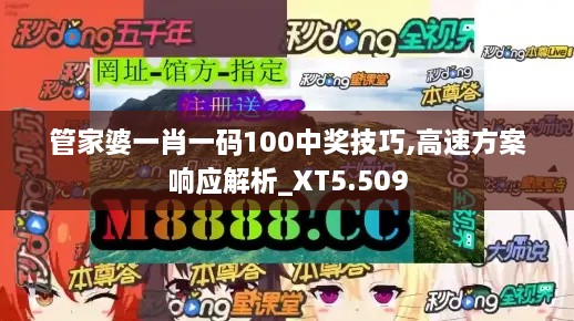 管家婆一肖一碼100中獎技巧,高速方案響應(yīng)解析_XT5.509