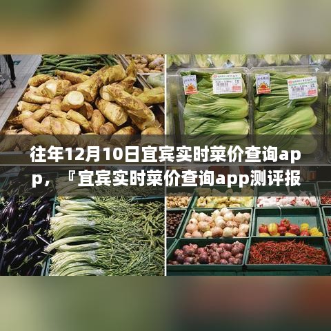 宜賓實(shí)時(shí)菜價(jià)查詢app歷年功能深度解析與用戶體驗(yàn)洞察測(cè)評(píng)報(bào)告，宜賓歷年菜價(jià)變遷一覽無(wú)余！