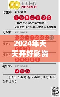 2024年天天開(kāi)好彩資料56期,實(shí)地驗(yàn)證方案_定制版3.205