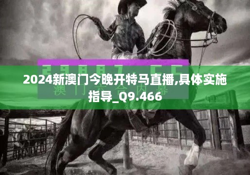 2024新澳門今晚開特馬直播,具體實(shí)施指導(dǎo)_Q9.466