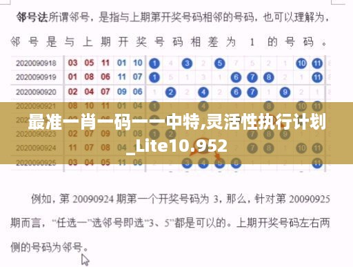 最準(zhǔn)一肖一碼一一中特,靈活性執(zhí)行計劃_Lite10.952