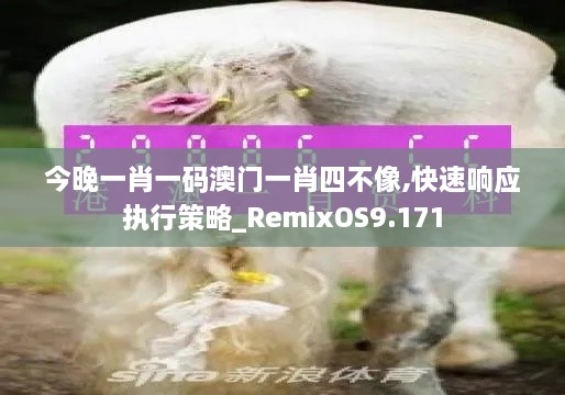 今晚一肖一碼澳門一肖四不像,快速響應(yīng)執(zhí)行策略_RemixOS9.171