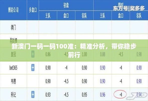 新澳門一碼一碼100準(zhǔn)：精準(zhǔn)分析，帶你穩(wěn)步前行