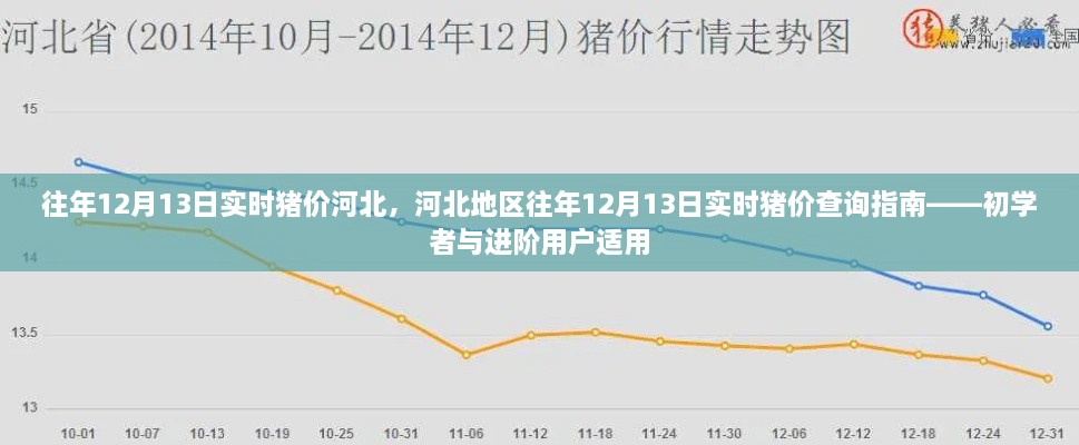 河北地區(qū)歷年12月13日實(shí)時(shí)豬價(jià)查詢(xún)指南，初學(xué)者與進(jìn)階用戶(hù)必備參考