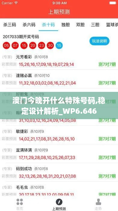 澳門今晚開什么特殊號碼,穩(wěn)定設計解析_WP6.646