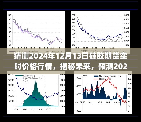 揭秘預(yù)測(cè)，2024年12月13日硅膠期貨實(shí)時(shí)價(jià)格行情展望與分析