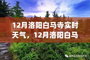 從獨特視角看12月洛陽白馬寺實時天氣與深度分析