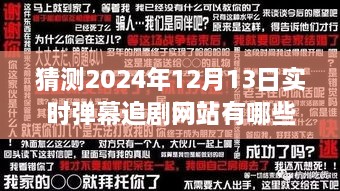 2024年實時彈幕追劇網(wǎng)站展望，背景、發(fā)展與行業(yè)地位深度解析