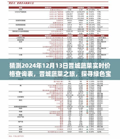 晉城蔬菜價(jià)格預(yù)測(cè)與綠色寶藏探尋之旅，心靈之旅啟程于2024年12月13日